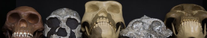 anthropology banner