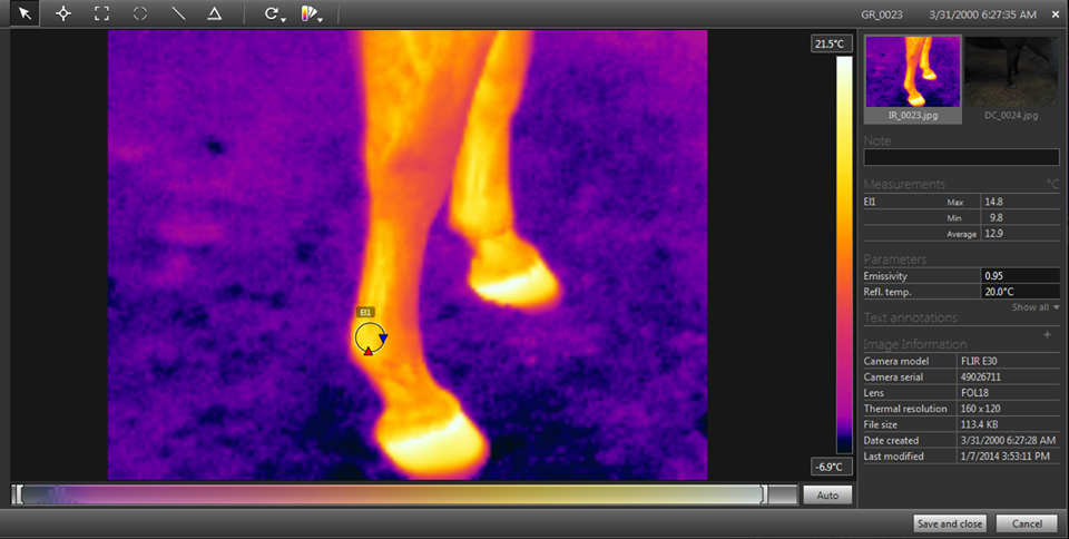 Using thermal imaging in equine science research