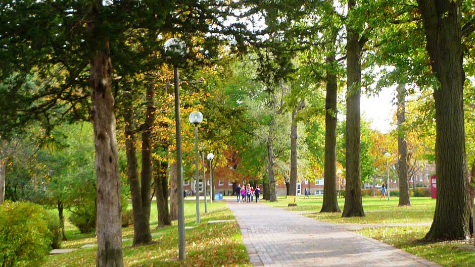 The tree-lined sidewalks on campus create a park-like atmosphere