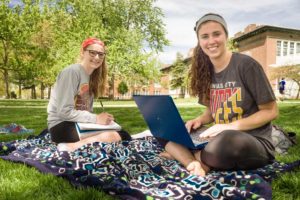 Students studying on the Quad