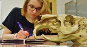 Intermediate Drawing class