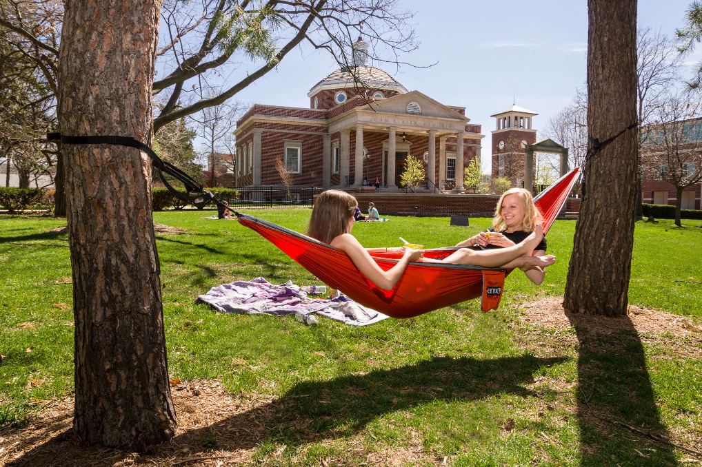 Find the perfect trees for a hammock on the Quad