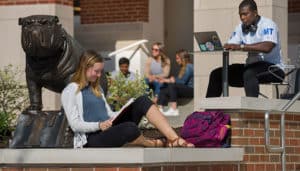 Students studying outdoors