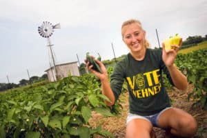 Peppers grown at University Farm