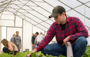 Students in greenhouse