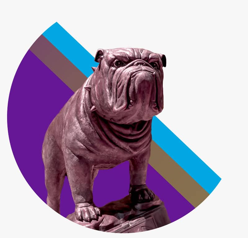 bulldog-icon-circle-purple-greybg