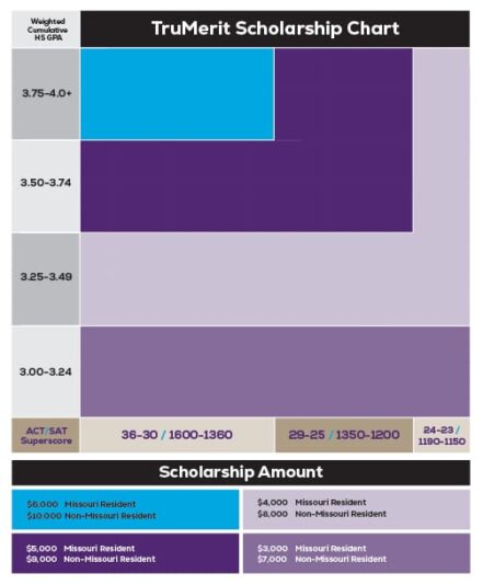 TruMerit Scholarship chart